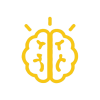 brain_balanced_512